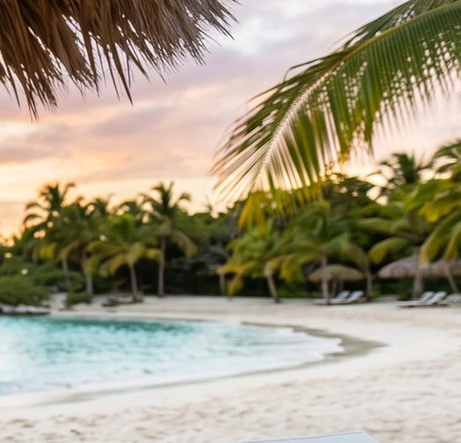 Palms over a Caribbean cove